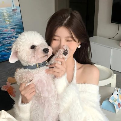 石纪元第四季